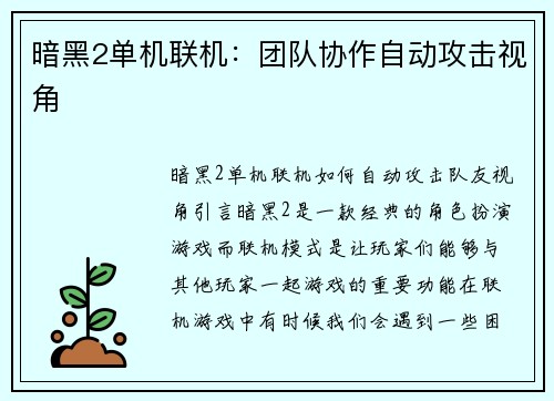 暗黑2单机联机：团队协作自动攻击视角